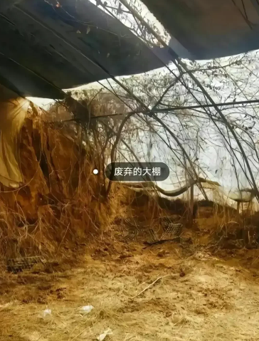 杀害王同学的3名初中生很难全身而退了！据邯郸肥乡官微消息，3月11日，涉案犯罪嫌