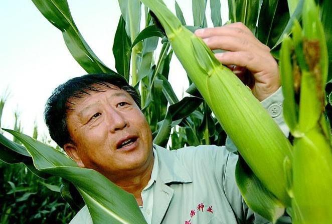 与袁隆平并称“南袁北李”的他，竟然只是个初中学历的山东农民。他培育的玉米新种直接