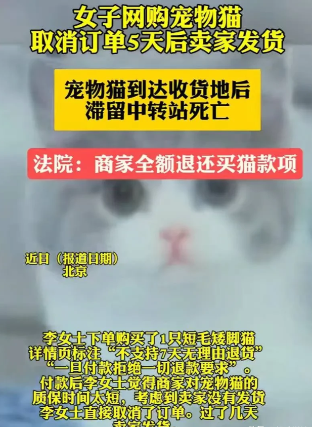 北京，一女子在某电商平台上的一家宠物店，下单了一只短毛矮脚猫，该平台在销售详情页