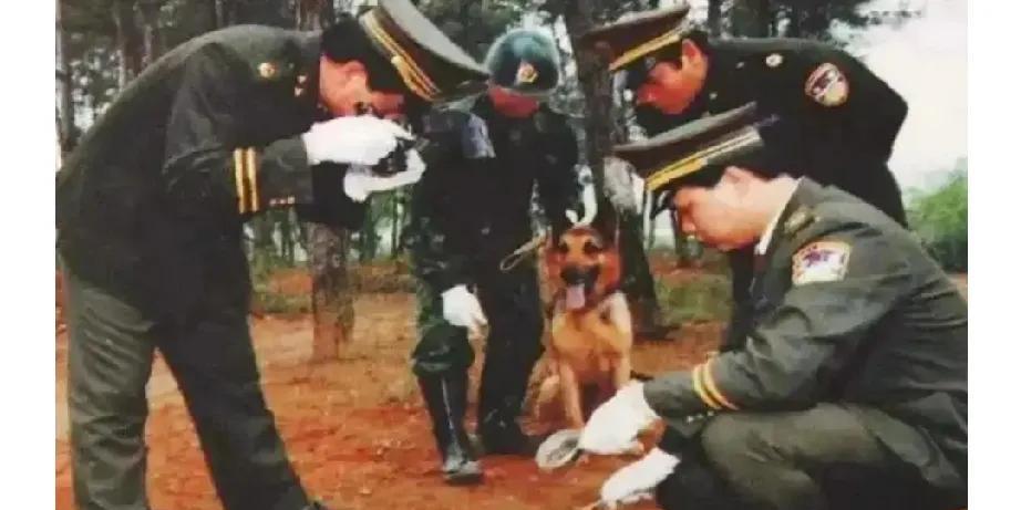 1996年，浙江民营运输户老谢6岁独子小磊失踪。不久老谢接到索要赎金的电话，但绑