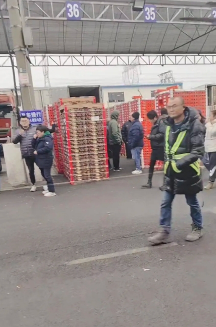 车厘子的水果商着急了，水果市场仓库的车厘子还是满满当当的。那些车厘子的外国水果商