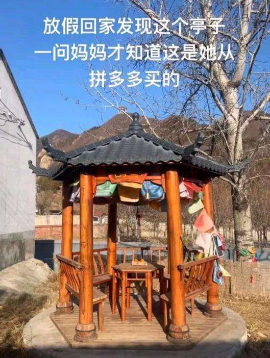 当你的妈妈学会了网购后...