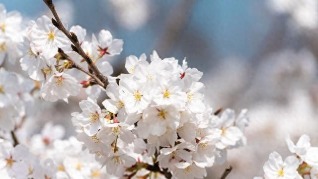 女人的心，是你应该用心呵护的珍宝