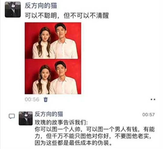人可以蠢，但一定要听劝