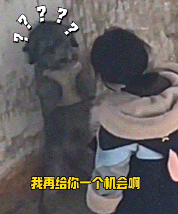笑不活，西藏一小女孩训狗的视频在网上火了。视频中可见，女孩先是生气的朝着狗子身上