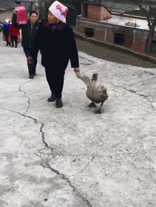 和奶奶手牵手逛街！