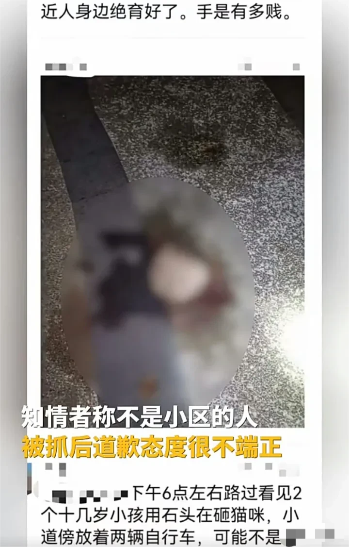 太残忍了！
