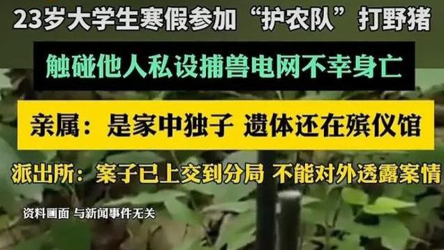 23岁大学生寒假参加“护农队”打野猪，触碰捕兽电网不幸身亡