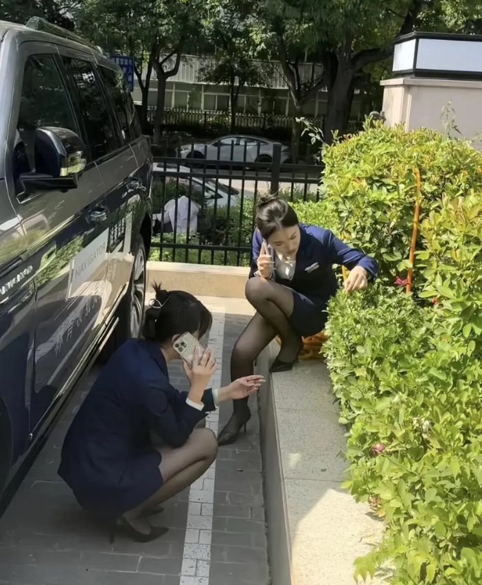 估计要不了一小时，这树的叶子，会被两位女销售给摘完！哈哈哈哈 [大笑][大笑][