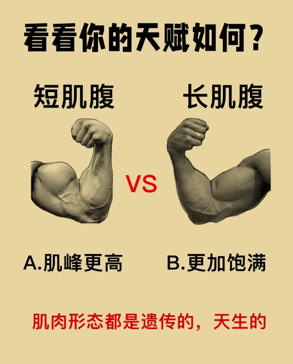 看看你的健身天赋如何？训练痕迹如何？肌肉形态都是遗传的，天生的！
