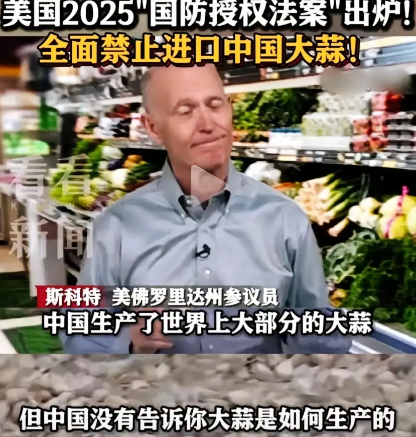 正当大家一头雾水美国军方怎么会禁止进口中国大蒜的时候，美国议员斯科特给大家解了惑