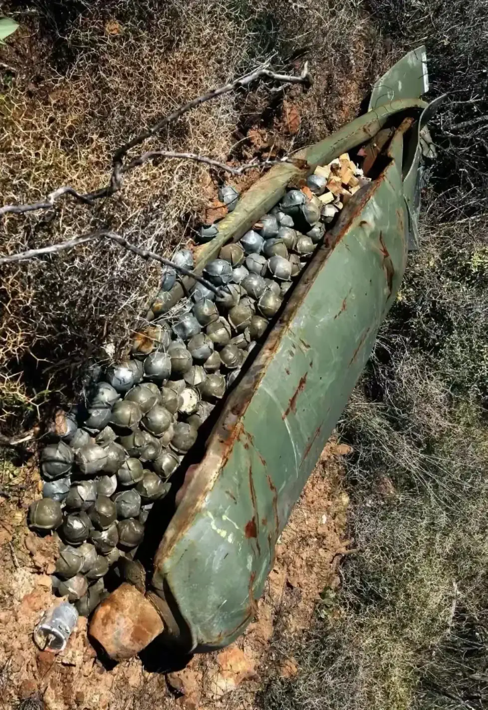 我去，谁敢捡这玩意？
