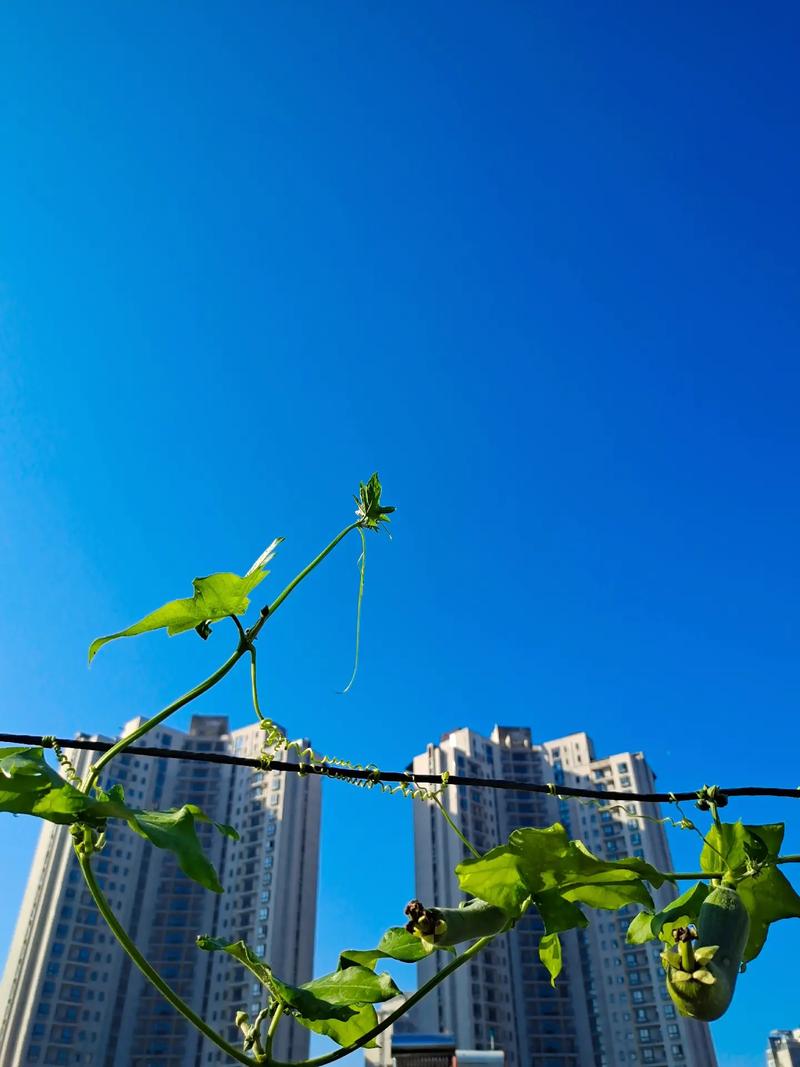 打开门，抬起脚，猛的想起老公回来了。立马转身，把衣服穿好。
客气又礼貌。“起来了
