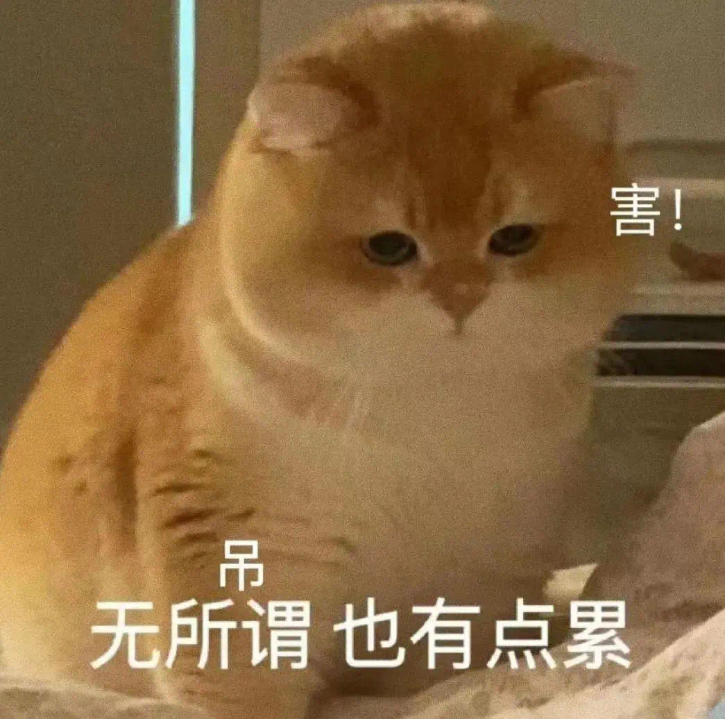 无所谓，也有点累