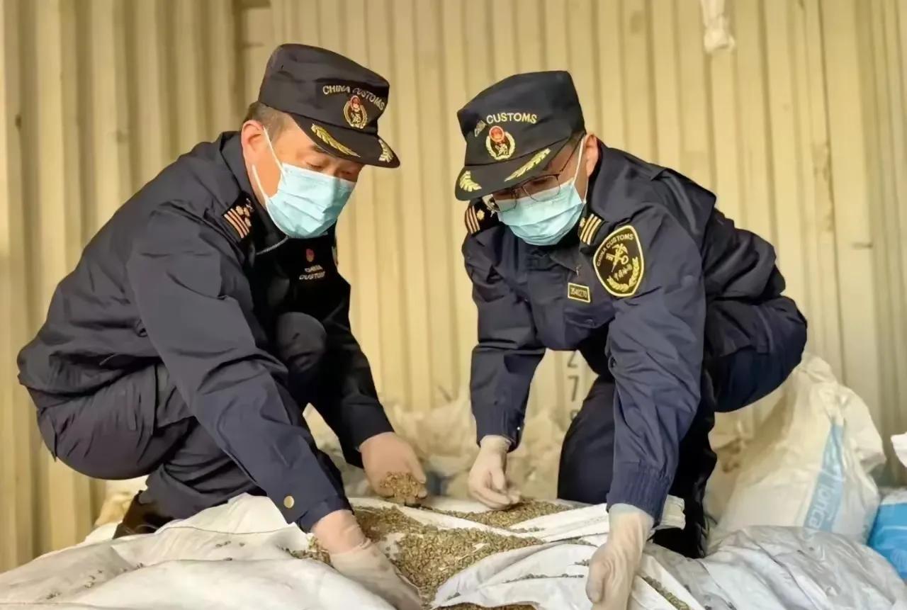 胆大包天了，福州海关下面的马尾海关，从境外进来一批空的集装箱，工作人员去监查，打