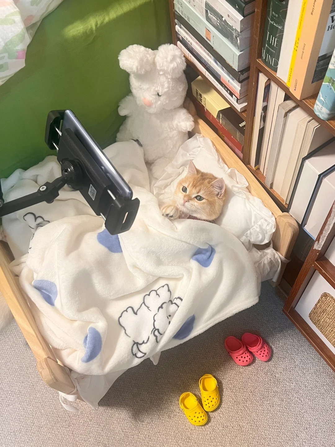 同居一年，凭什么让我一个人养家
早上出门看到它俩如此悠哉
真的不想去打工了
退一