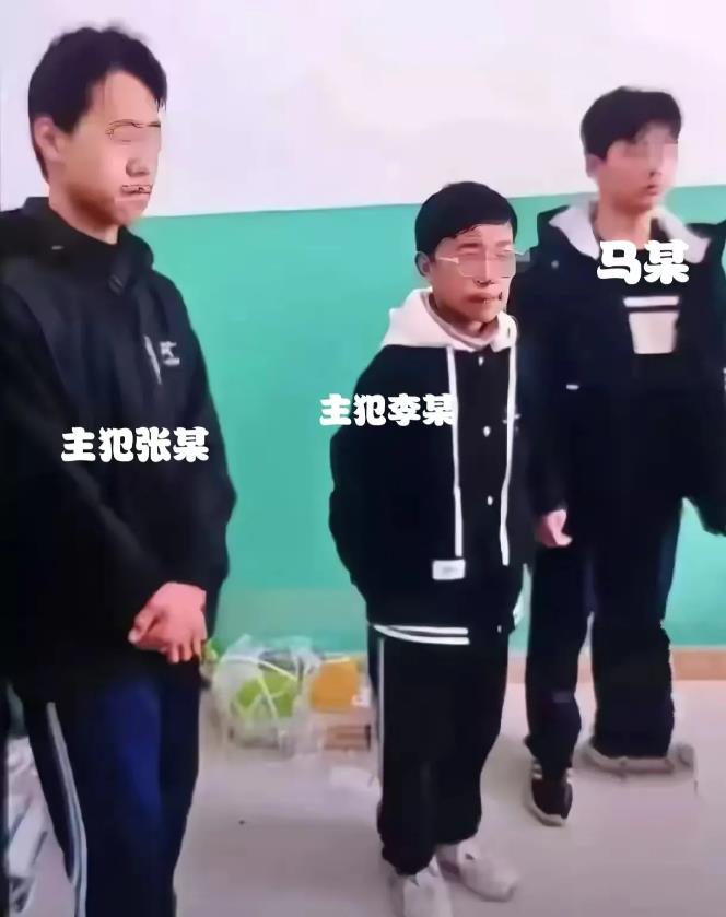 即便主犯张某某能通过在监狱里好好表现获得减刑提前释放，这个小恶魔也绝不会有好下场