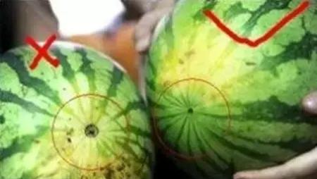夏天西瓜新吃法，天天吃出新花样，附挑瓜秘诀！