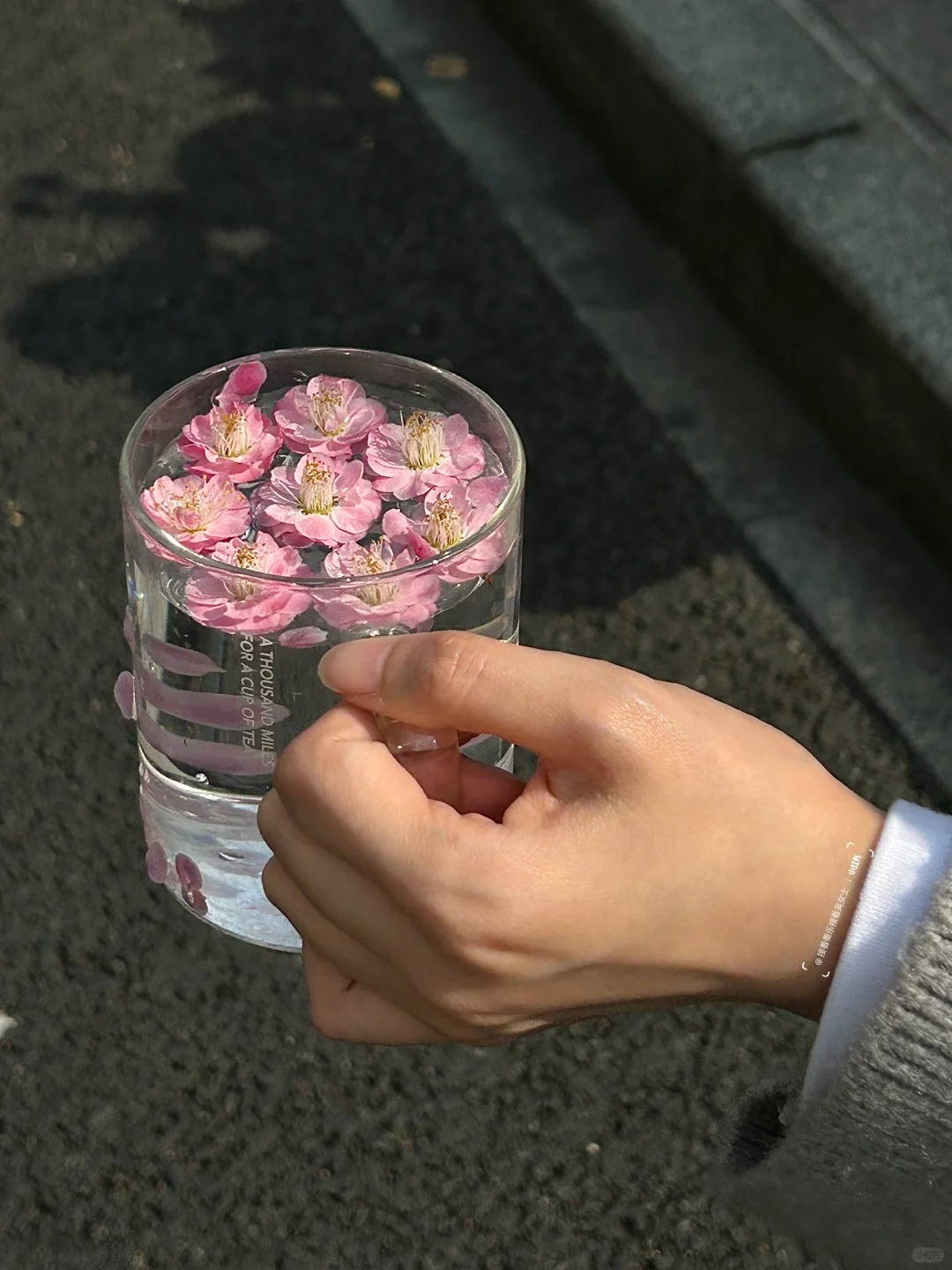 手握一杯春天 敬你 敬我
怎么会不喜欢春天呢