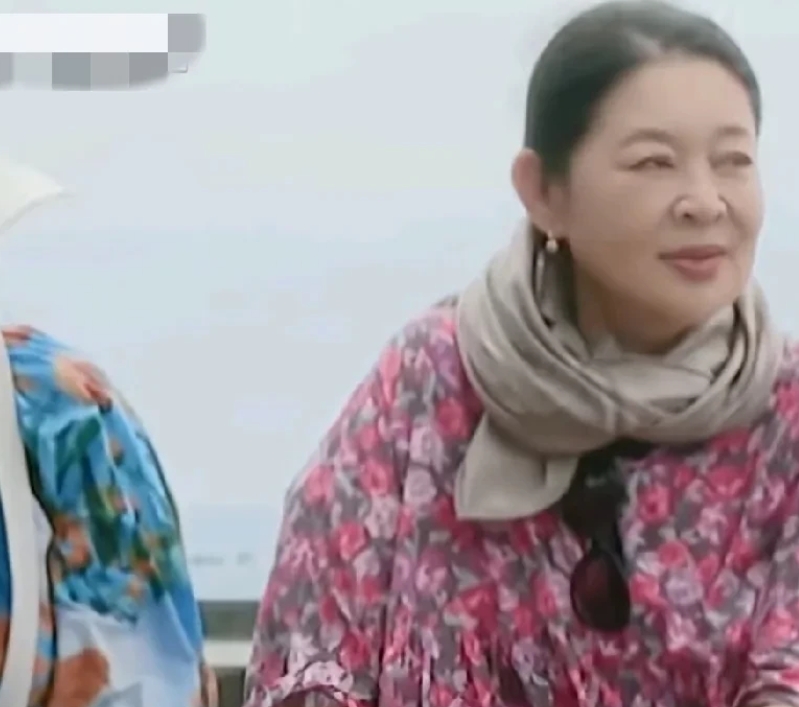 刘晓庆：“我个人不是很赞同琼瑶的做法，你多活一天是一天，如果我是琼瑶我就会选择活