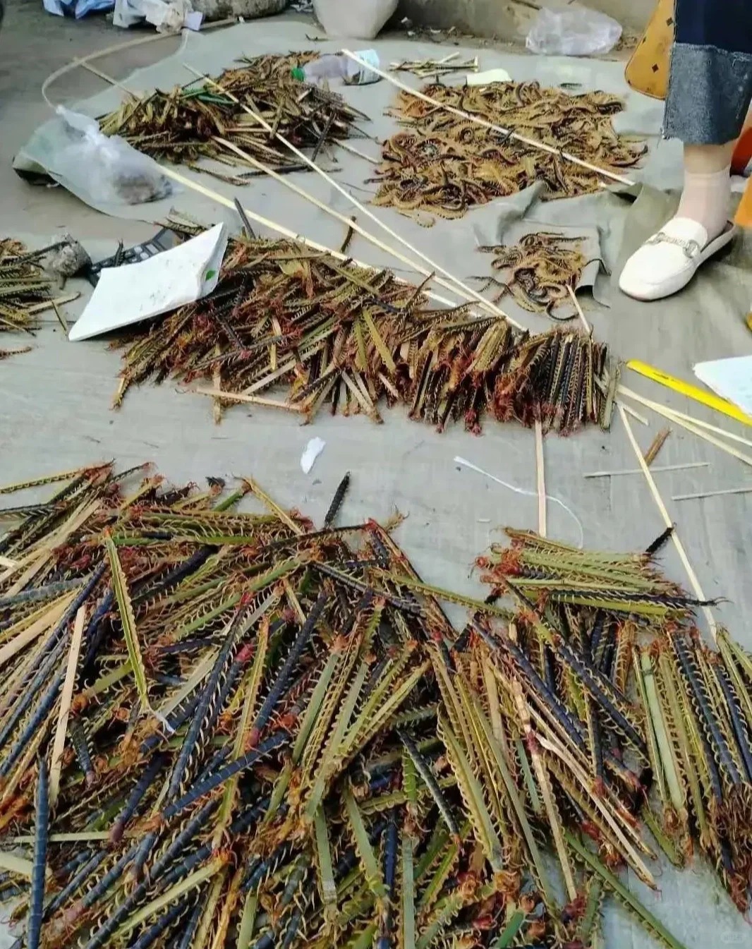 街面上看见有人售卖这个，老夫眼拙，愣是没瞧出这是些什么东西，买来干啥用？