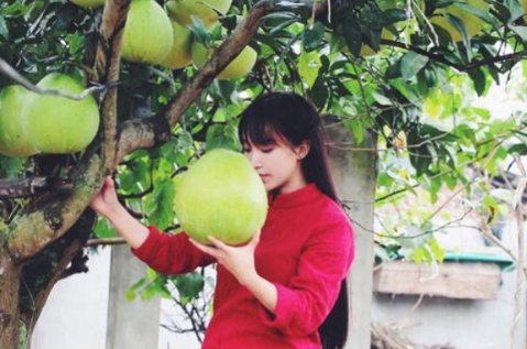 有人注意到李子柒家柚子了吗？遍地都是大柚子哈哈哈