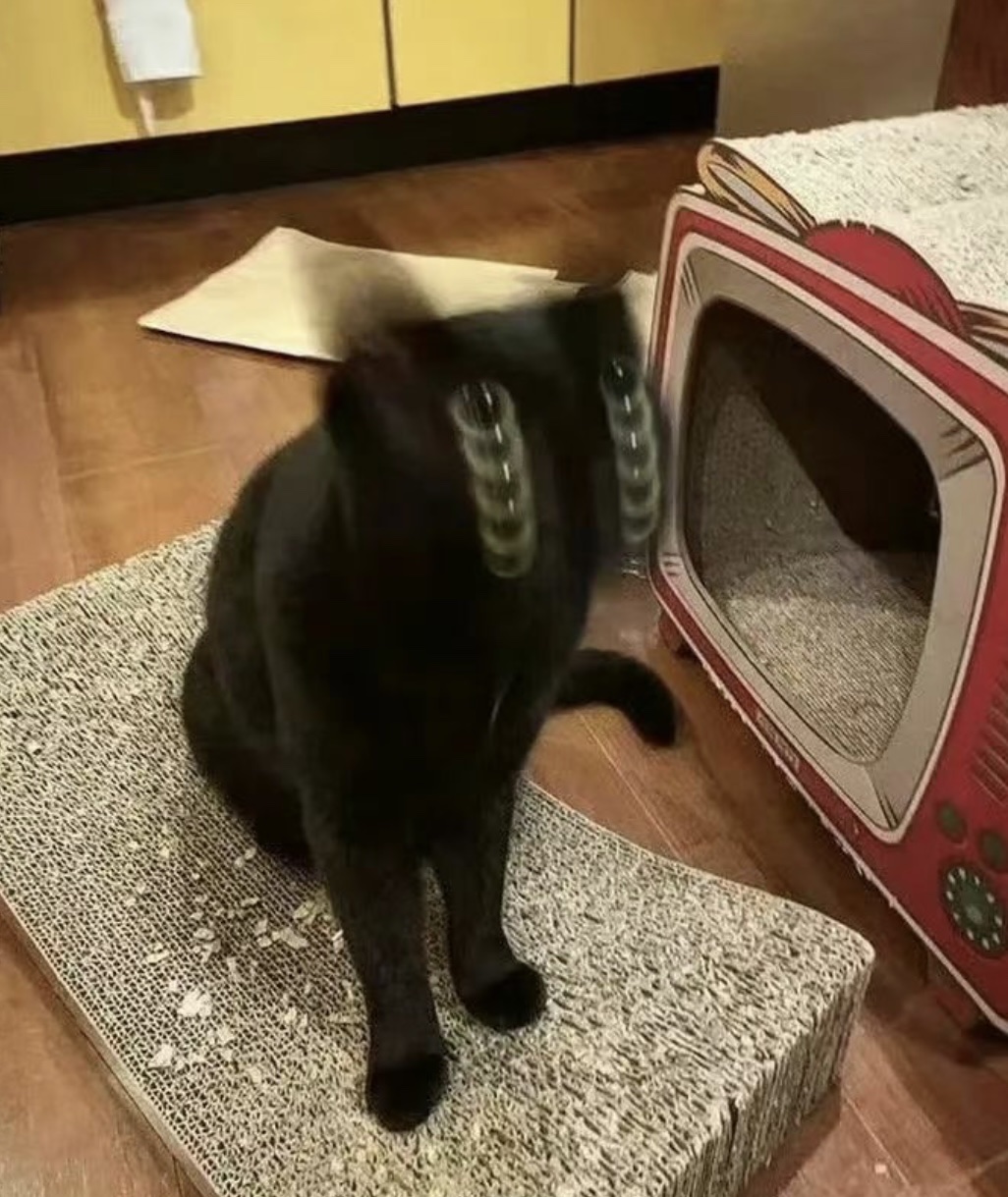 哈哈哈，你这抓拍的都重影了
