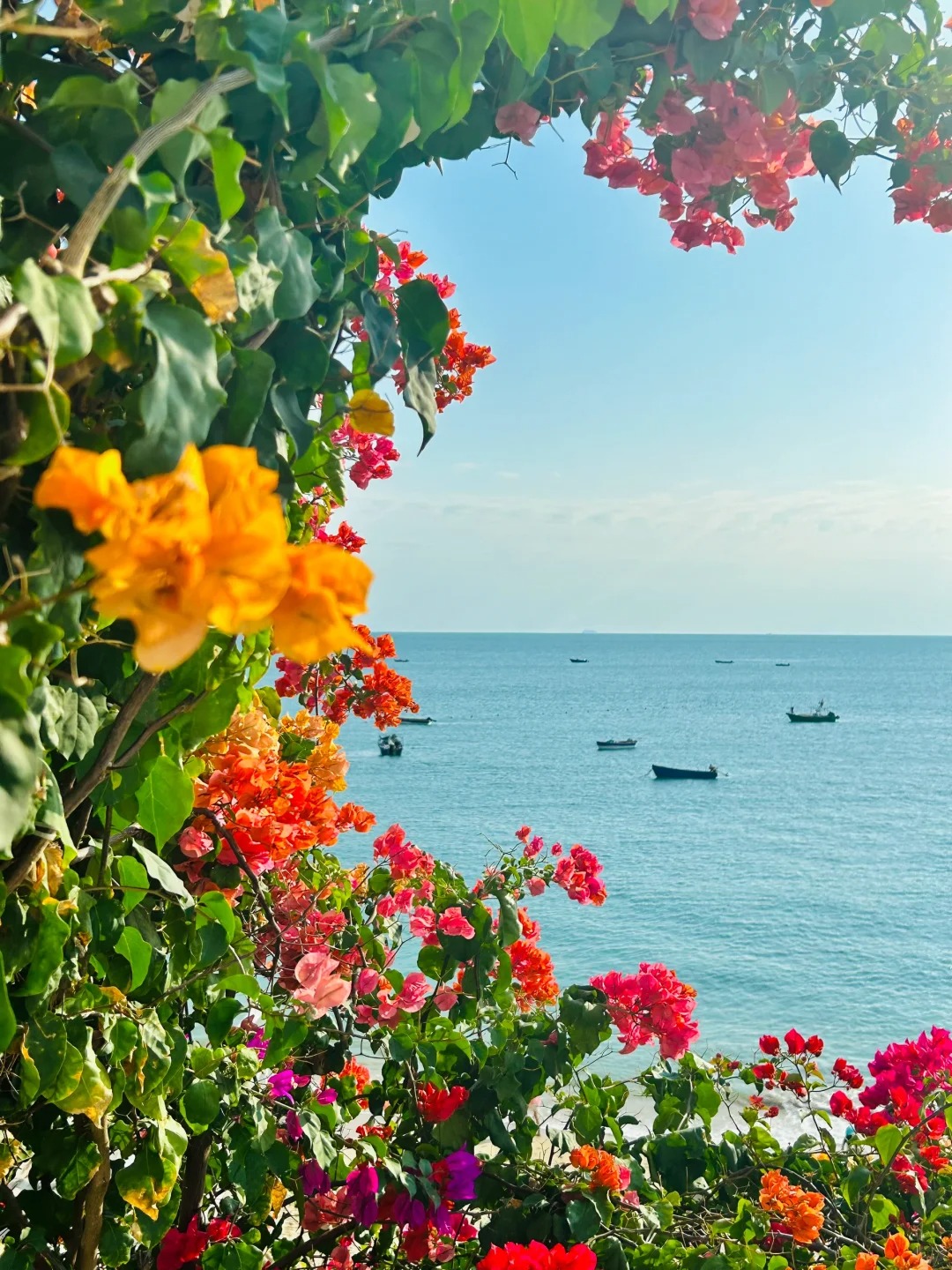 Live | 海南的冬天怎么可以美成这样啊😭
面朝大海，春暖花开。
如果厌倦沉