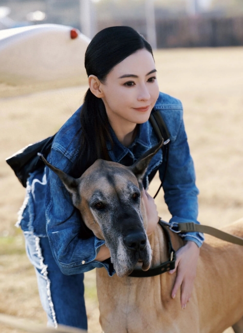 张柏芝那颜值简直绝了，说是美女天花板一点不为过。都 44 岁了，可状态松弛自在，