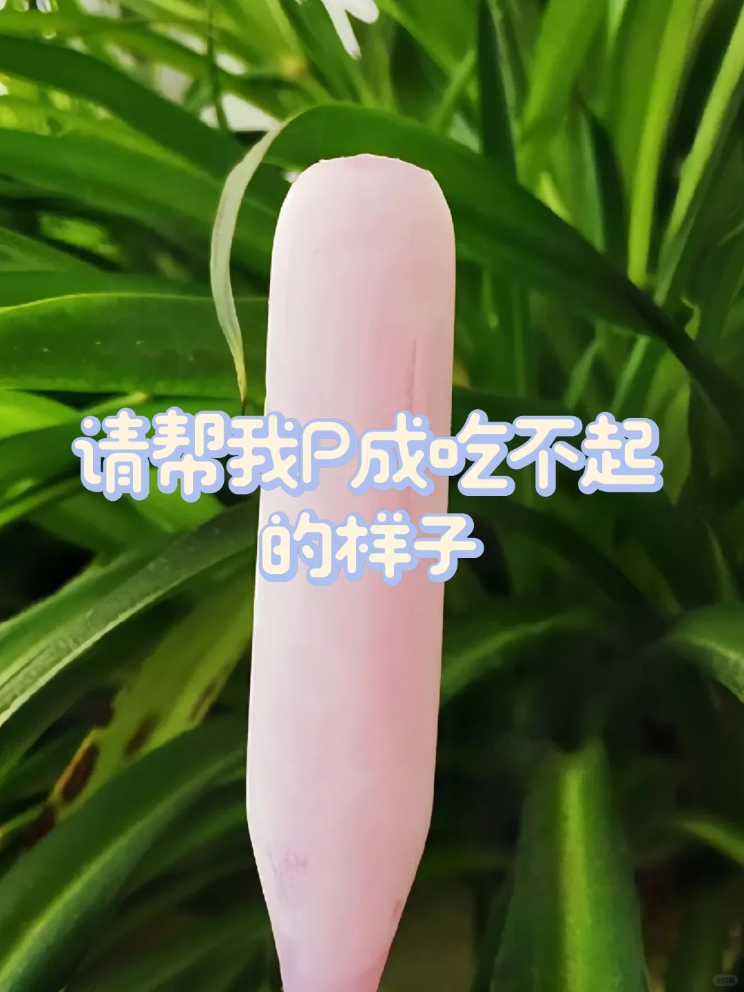 请帮我P成吃不起的样子
#P图
 #p图大神 #p图大赛 #把它p成我吃不起的样