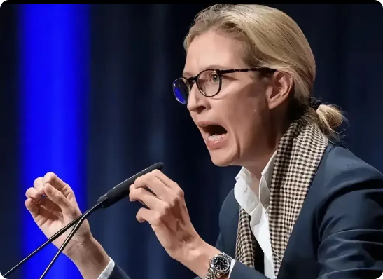 谁能想到？柏林街头最新涂鸦竟是撕碎的星条旗！德国选择党领袖魏德尔败选演讲视频在T
