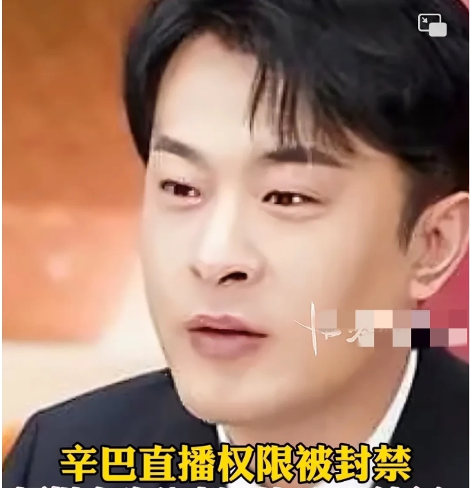 老狗分析辛巴封号原因，他用一个亿买了全互联网购物粉的心，这是杀人诛心，这一个亿对