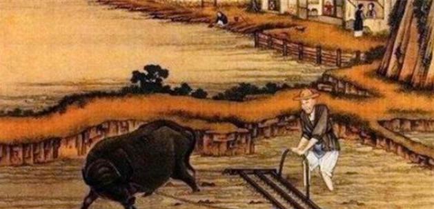 古代禁杀牛但吃牛肉很普遍

                          