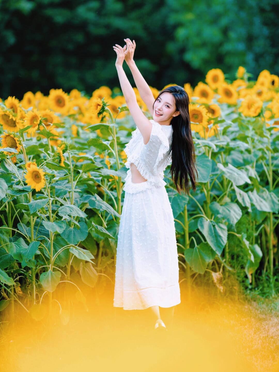 🌻心如花木.向阳而生