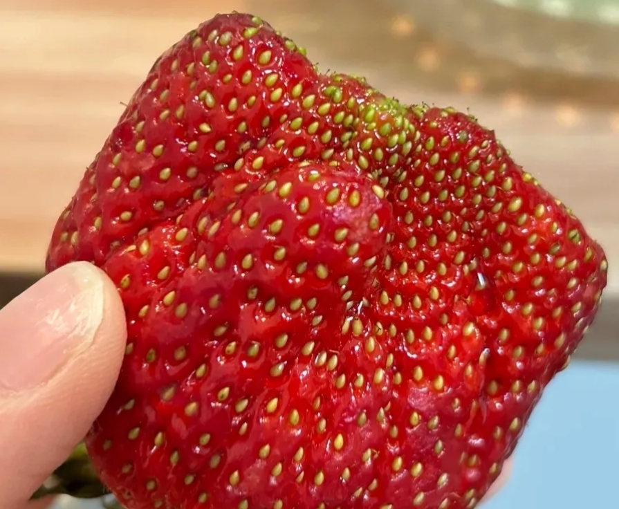 草莓漂亮的有毒？又到了吃草莓的季节了，大街小巷随处可见商户们都在门口摆着，喇叭叫