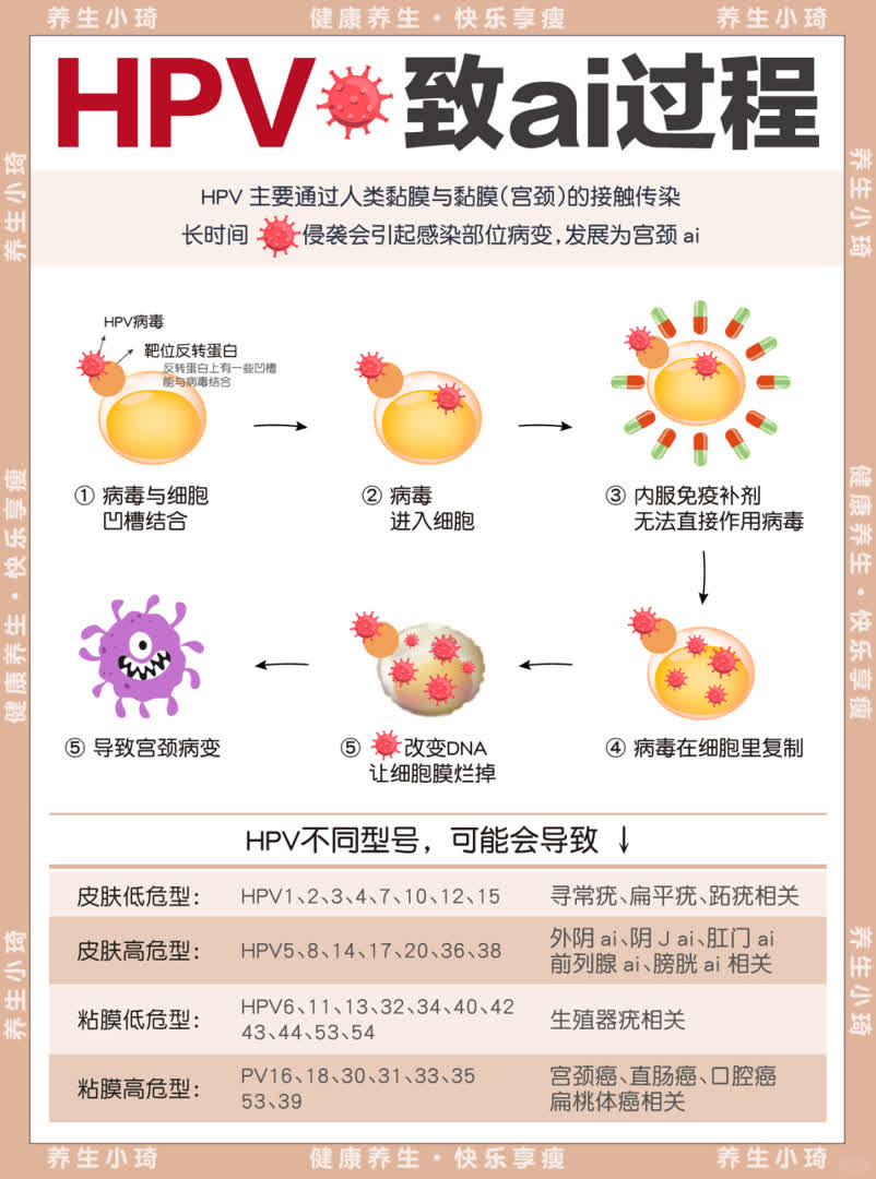 一篇看懂，HPV致ai过程、TCT报告、转阴攻略