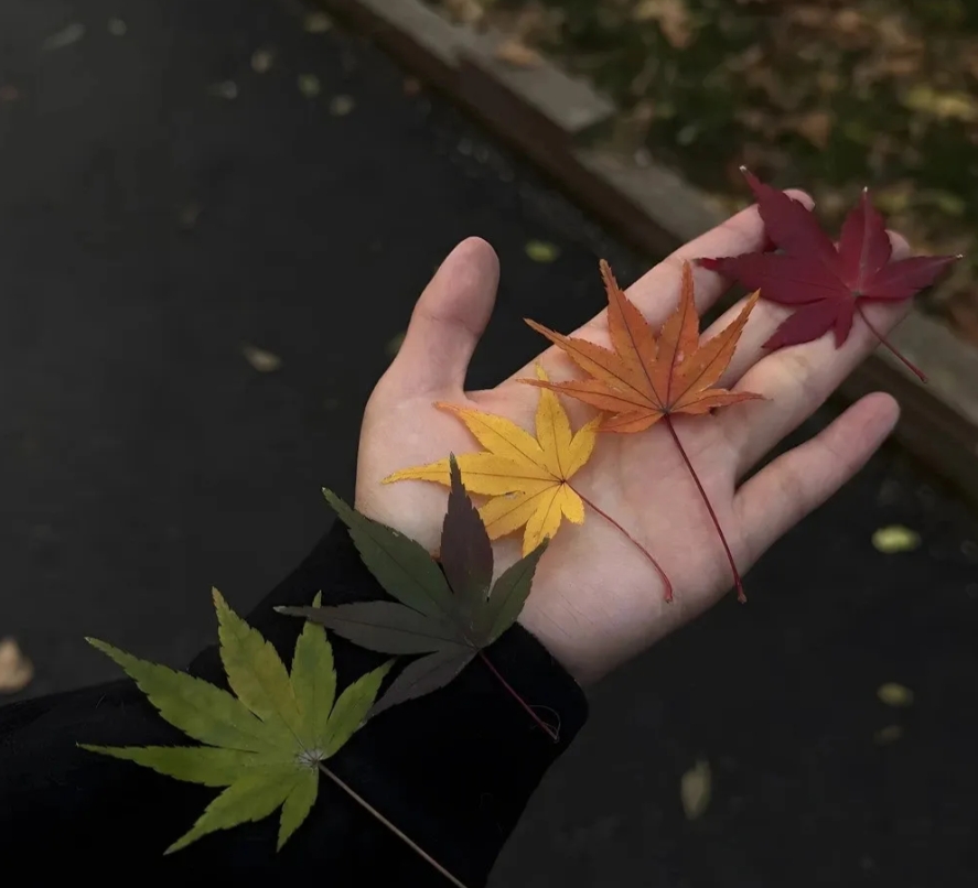 人家都说:一个儿子一百万，两个儿子二百万。买房，买车的还是男孩多你们说是不是？我