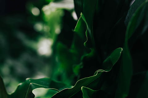 歌迷在演唱会上兴奋地拿着话筒对台上的歌手说：“我是你最忠实的粉丝，我听了你的每一