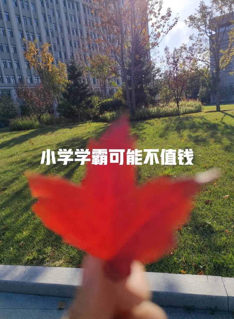 今天看了一个视频，教育专家说。六年级以前的学霸可能一文不值，而且很有可能是副作用