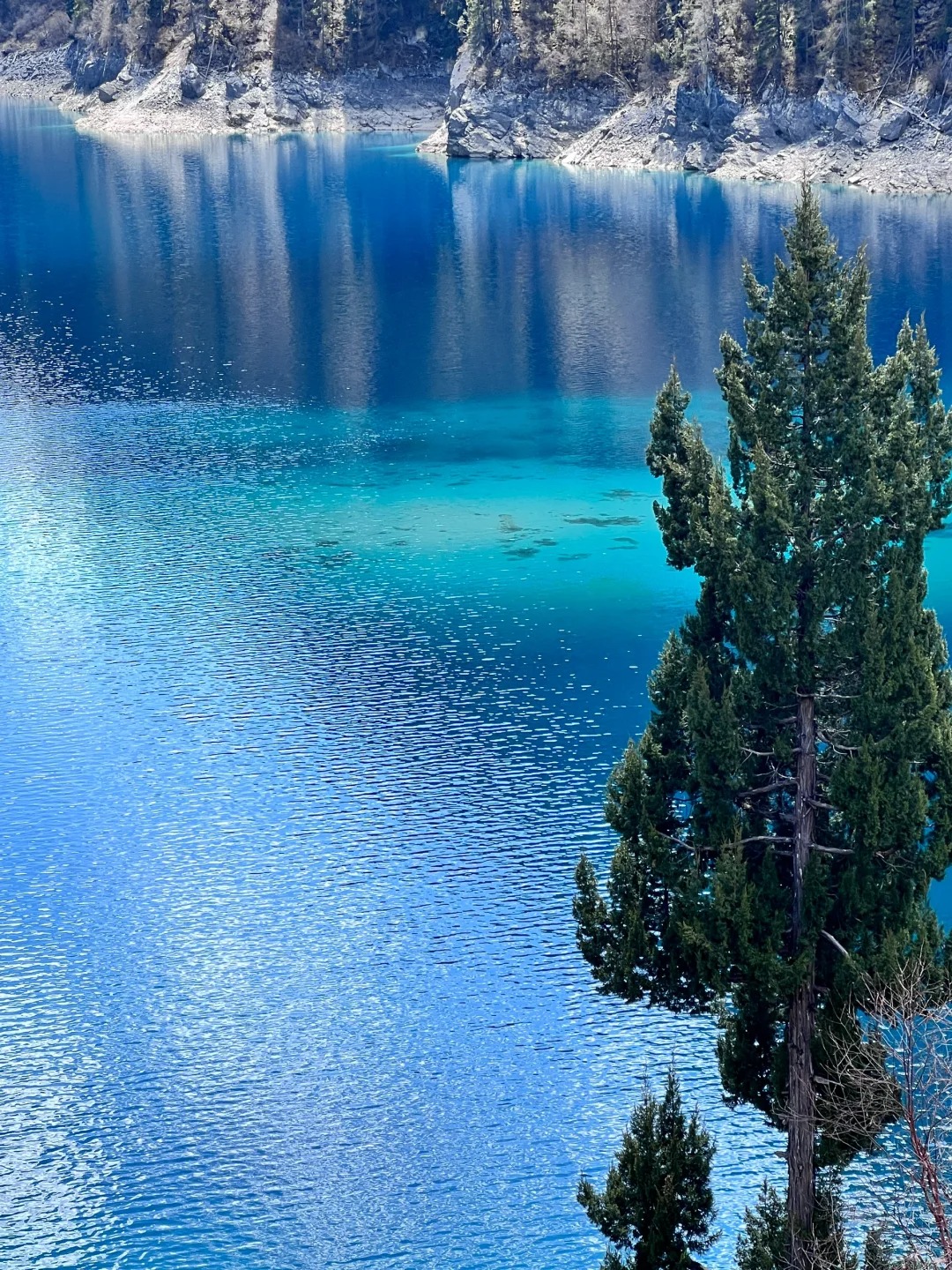 不愧是5A景区
九寨沟的景区建设真的很好
厕所干净 区间车也很给力
自然环境也保