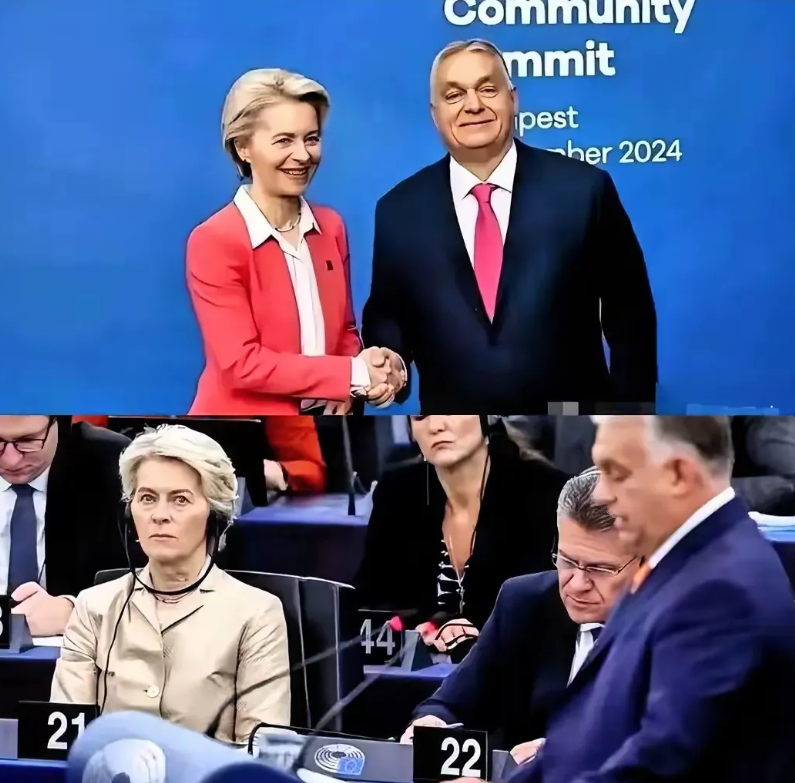 特朗普胜了，欧洲却变脸了！

第一；欧洲这帮政客在美国面前真是把墙头草演得淋漓尽