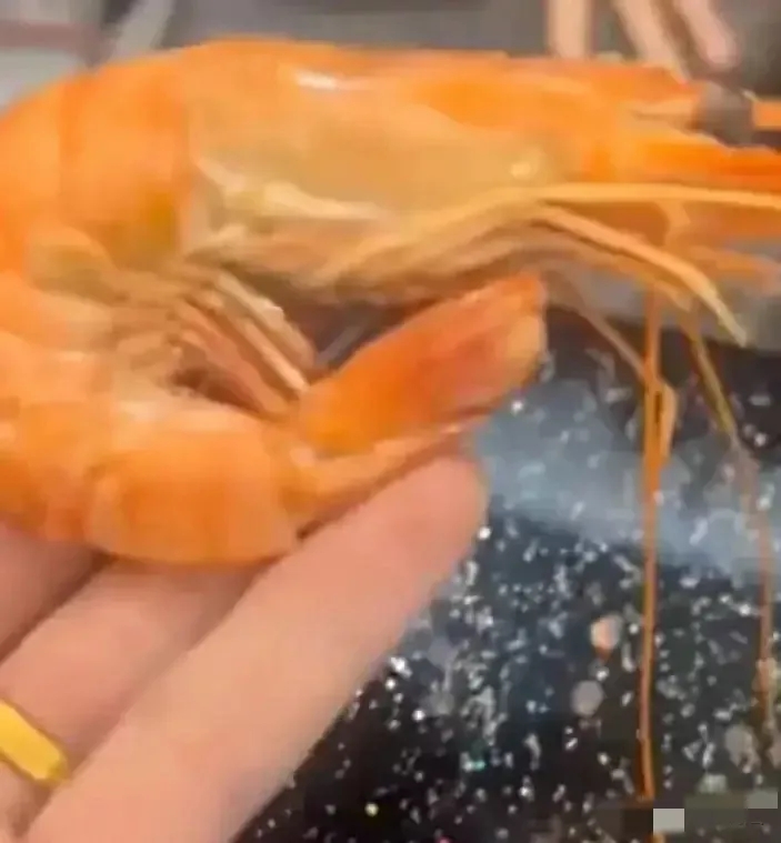 山东烟台，男子请朋友吃饭，为了体现自己的诚意，仅每只28元的大虾，男子就点了15