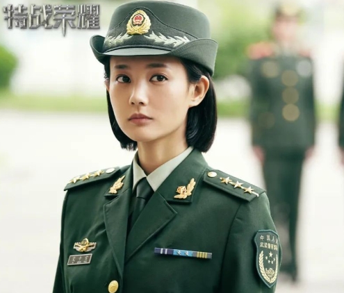 10部高分国产军旅剧推荐，精彩程度不输《特战荣耀》，值得收藏！

《特战荣耀》的