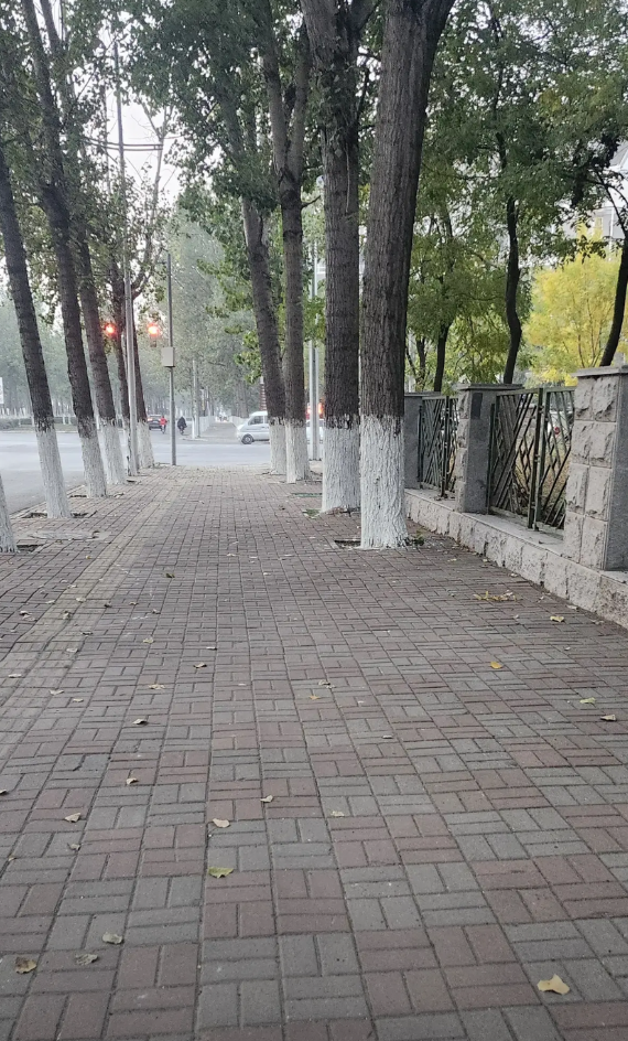 五年级数学就是孩子们的成绩分水岭，读书有无天赋一试便知！
1～4年级，数学需要大