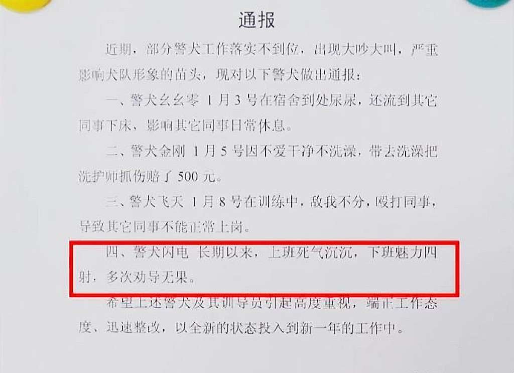 每一条都过于好笑