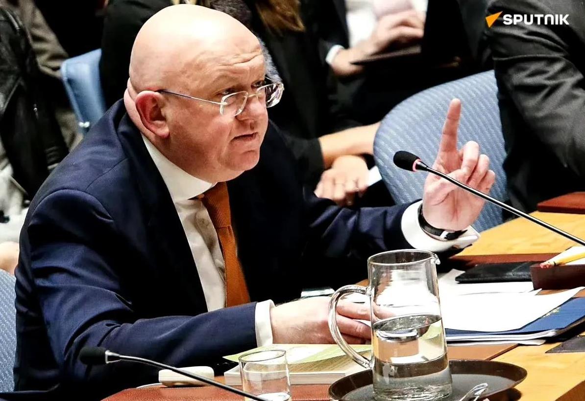 俄罗斯常驻联合国代表瓦西里·涅边贾说：“奥斯维辛幸存的囚犯们甚至无法想象，解放集