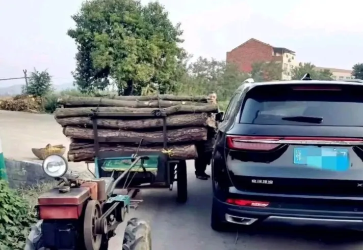 这是给交警出了个大难题，谁的责任？怎么认定？
