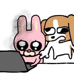 大四下 朋友圈死了一半人
坐标大四下朋友圈
以前能在⭕里看到各种各样的plog，