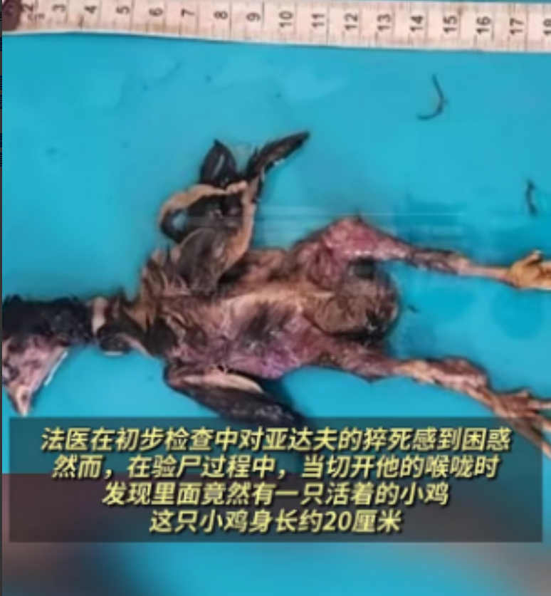印度男子与妻子结婚5年没有孩子，男子为了传宗接代，听信了“修行者”的话，生吞了一