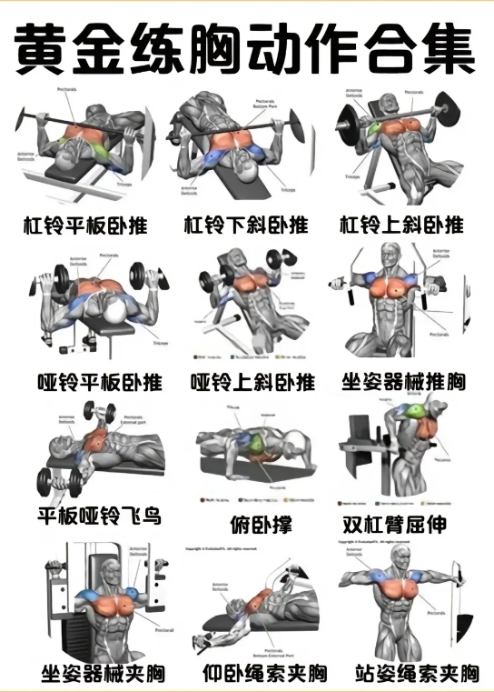 男性练胸攻略！